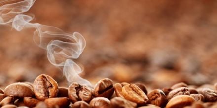 Kaffeebohnen frisch geröstet dampf