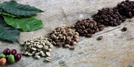 verschiedene kaffeebohnen nebeneinander röststufen kaffeekirschen