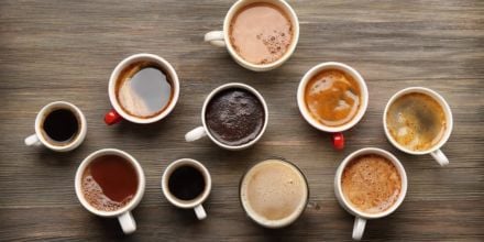 Elefant kaffee - Die preiswertesten Elefant kaffee unter die Lupe genommen
