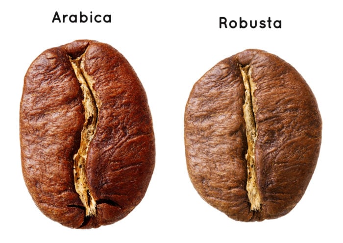 Arabica Robusta Kaffeeherkunftsländer