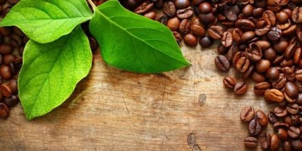 kaffeebohnen auf holztisch blätter kaffeesorten