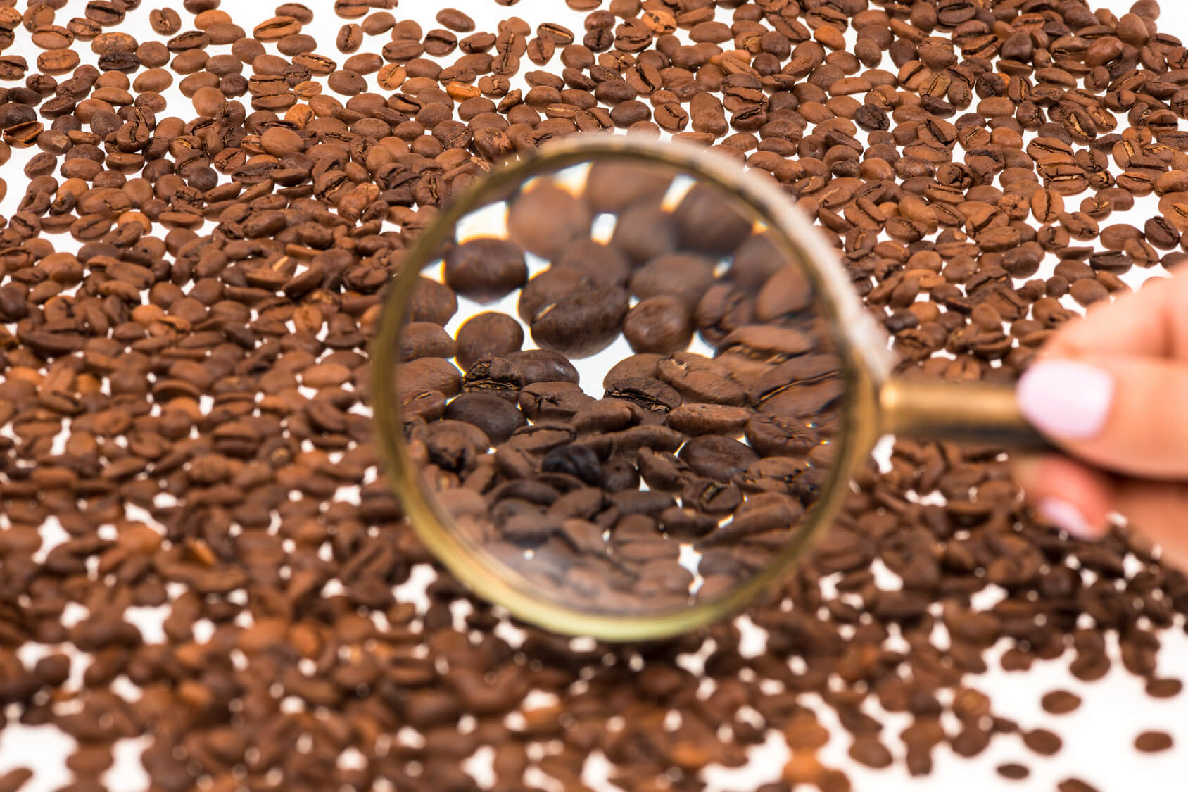 Kaffeebohnen aufbewahren für volles Kaffeearoma | roastmarket Magazin