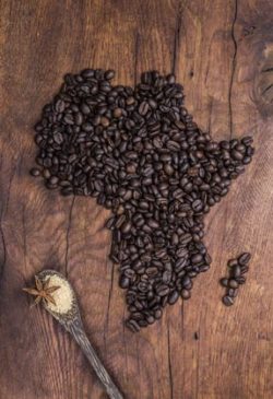 Geschichte:Afrika Ursprung des Kaffees