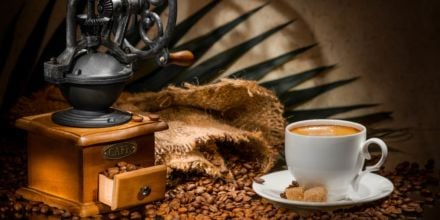 Geschichte des Kaffees Weg des Kaffees von Afrika nach Europa