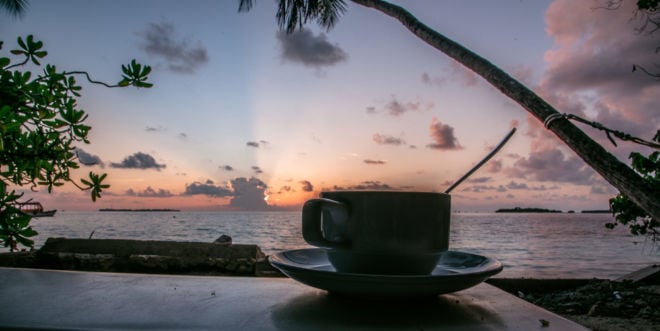 Jamaica Blue Mountain Kaffee