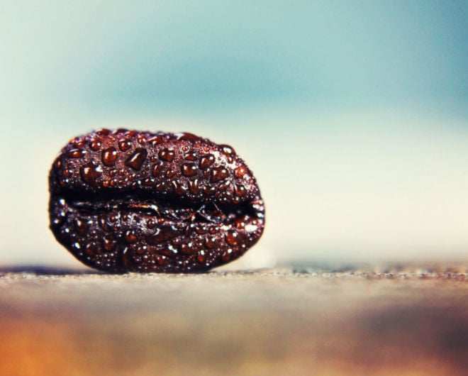 Kaffee einfrieren