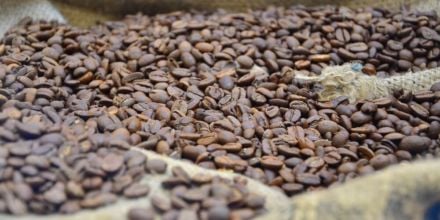 kaffeebohnen geröstet auf kaffeesack