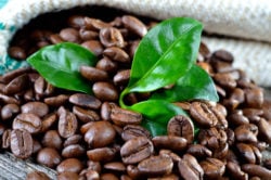 Kaffeestädte der Welt