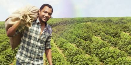 Single Estate Coffee