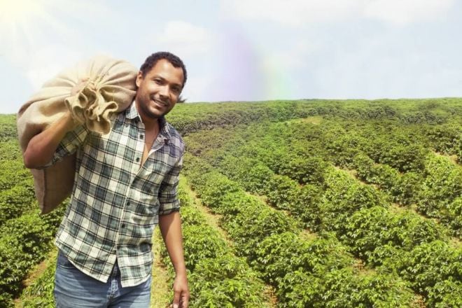 Single Estate Coffee