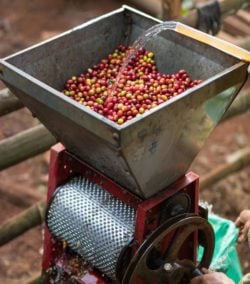 Die Halbtrockenaufbereitung