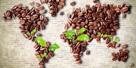 Weltkarte Afrika Kaffeebohnen