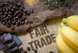 Fair trade kaffeebohnen