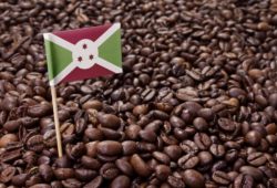 Kaffeeanbau in Afrika: In Kaffeebohnen steckt Burundi Flagge