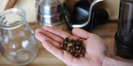 Cascara-getrocknete-Schale