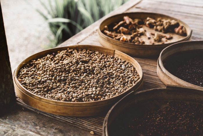 Vermehrung-der-kaffeepflanze-Kaffeebohnen