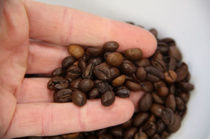 Segafredo Intermezzo Bohnen in der Hand