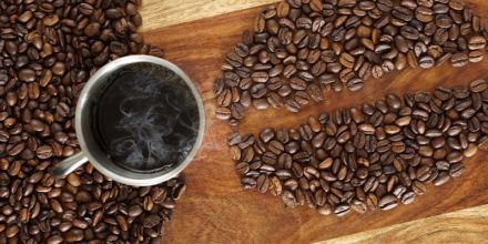 Die besten Testsieger - Entdecken Sie bei uns die Anbaubedingungen kaffee entsprechend Ihrer Wünsche