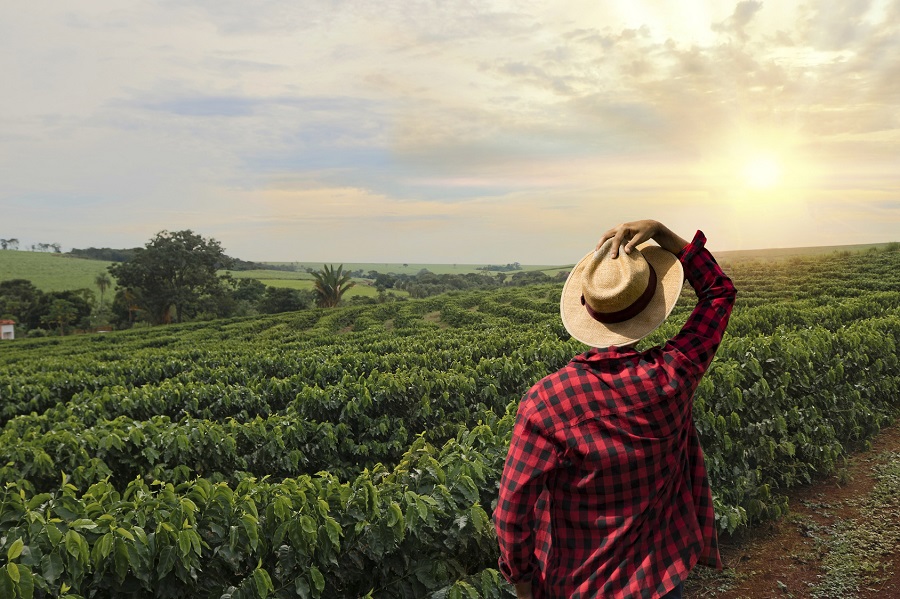 Kaffee Anbaugebiete: wo kommt der Kaffee her? | roastmarket Magazin