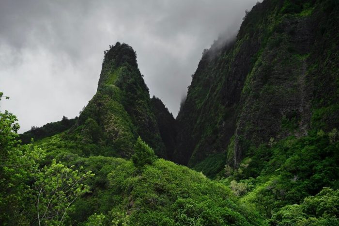 Kona Kaffee Der Luxus Kaffee Aus Hawaii