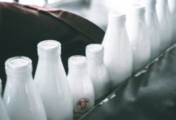 aus Milch Joghurt selber machen