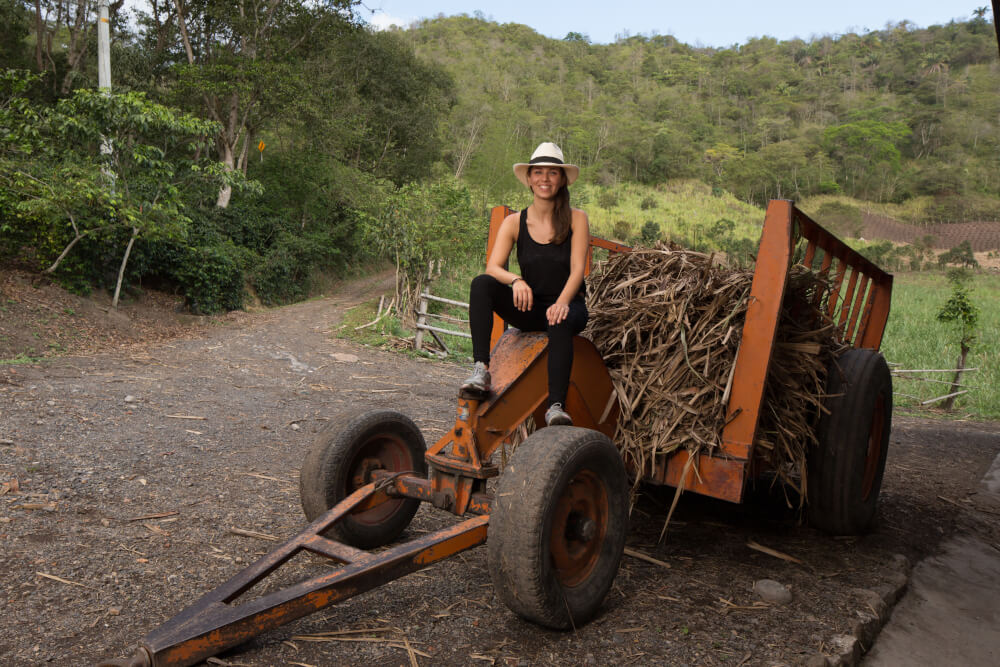 Anna Elisabeth Segovia Ernte