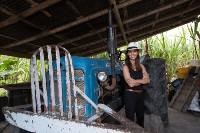 Anna Elisabeth Segovia Ernte