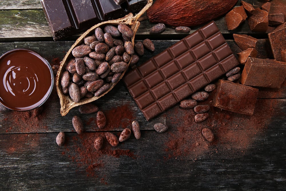 Die Kakaobohnen: Fakten rund um die Kakaofrucht | roastmarket Magazin