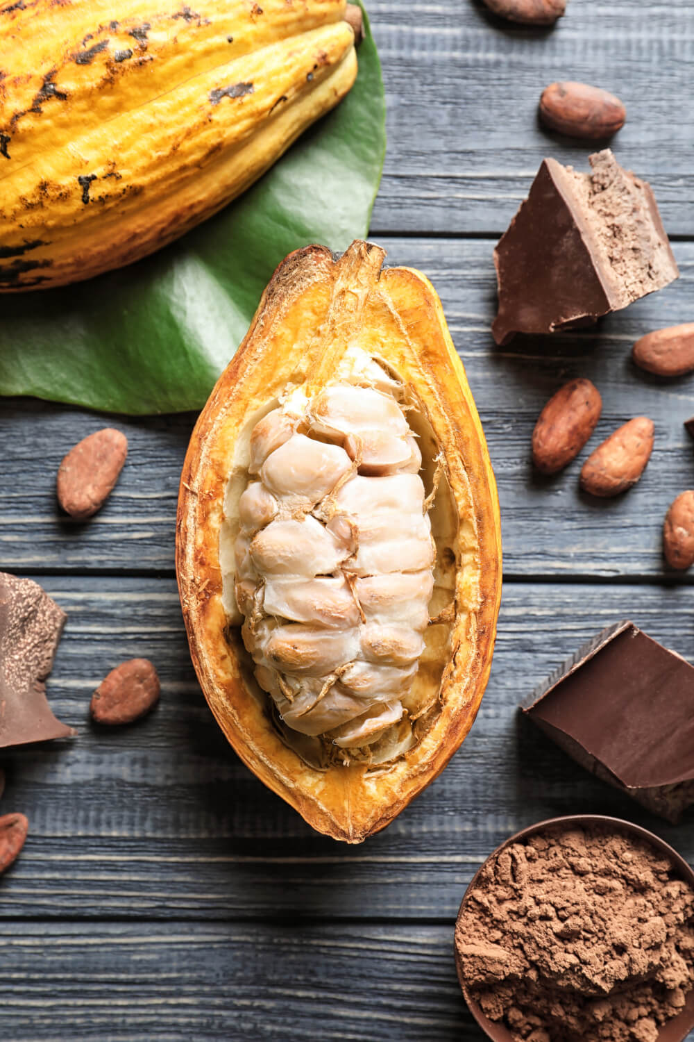 Kakaofrucht von innen für die Zubereitung der Kakaobohnen