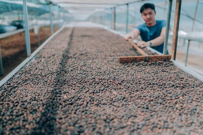 84 Coffee Vietnam Kaffeebohnen