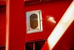 während der Bohnenröstung