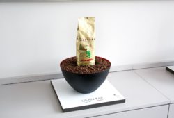 Drago Mocambo Gran Bar