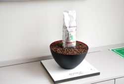 Drago Mocambo Brasilia