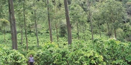 Thomas in Costa Rica