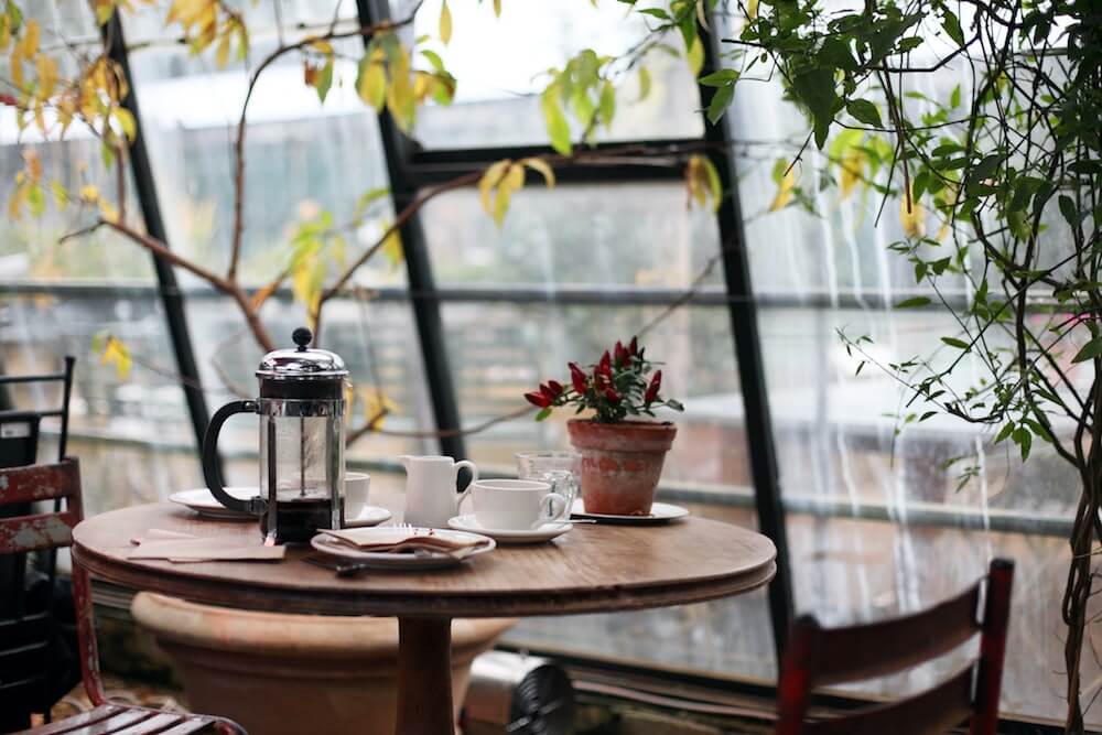 Kaffeetafel mit Pflanzen