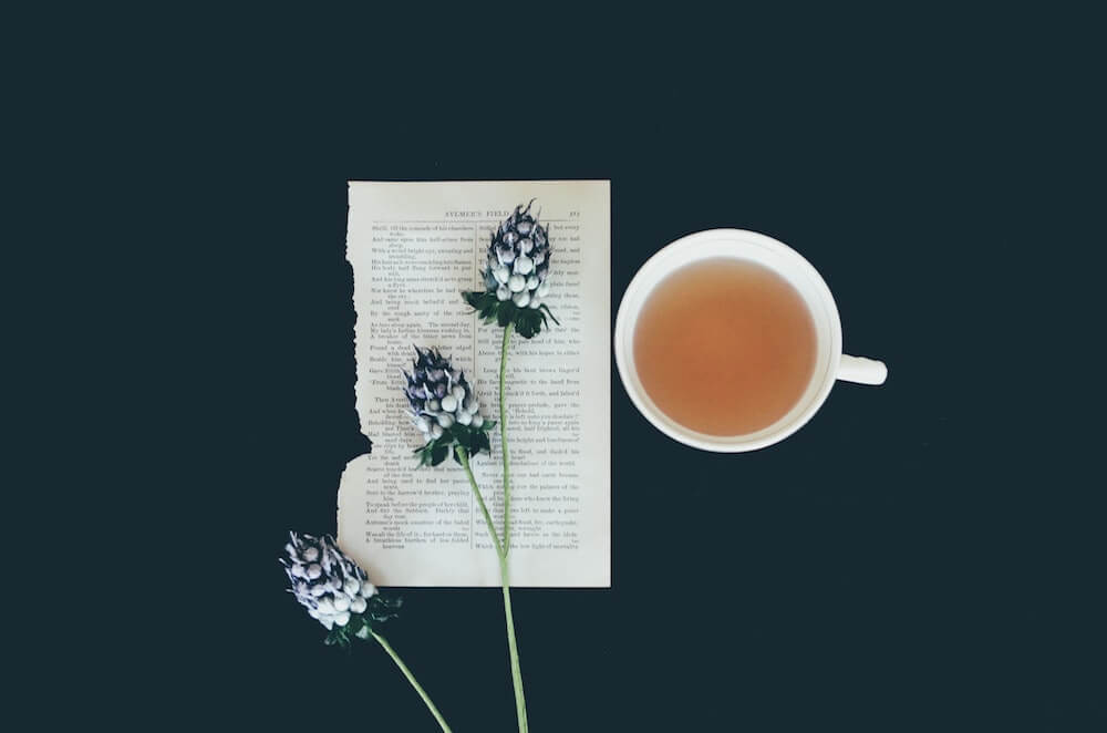 Teetasse neben Batt Papier und darauf liegender Pflanze