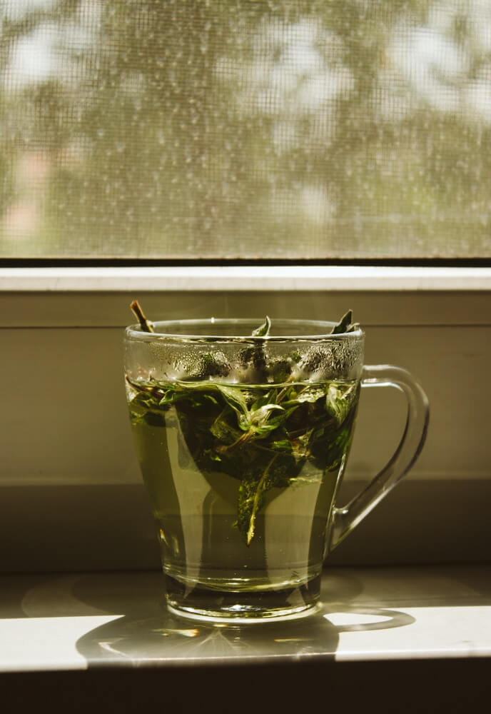 grüner Tee von Paper & Tea